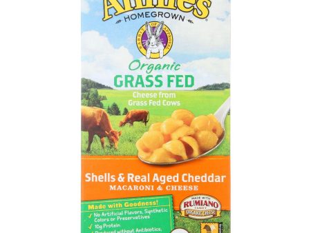 Annies Homegrown Macaroni And Cheese - Organic - Grass Fed - Shells And Real Aged Cheddar - 6 Oz - Case Of 12 For Sale