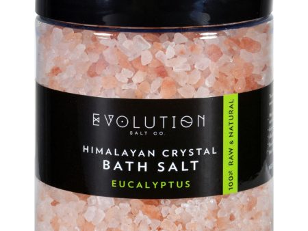 Evolution Salt Bath Salt - Himalayan - Coarse - Eucalyptus - 26 Oz Cheap