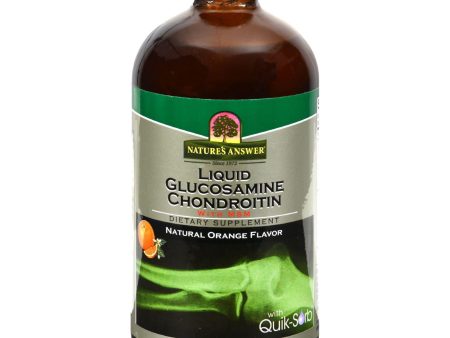 Nature s Answer Liquid Glucosamine And Chondroitin With Msm Natural Orange - 16 Fl Oz Online Sale