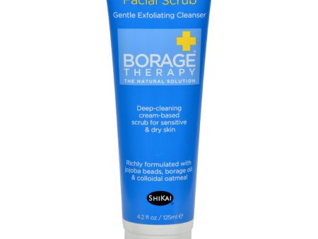 Shikai Products Borage Therapy Facial Scrub - 4.2 Oz For Sale